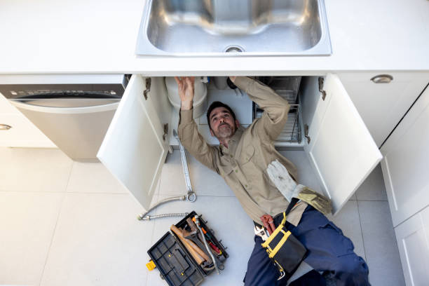 Best Local Plumber Services  in Denton, MD
