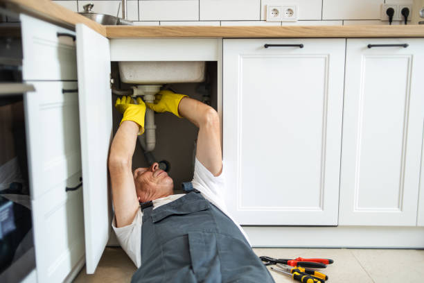 Best Residential Plumbing Services  in Denton, MD